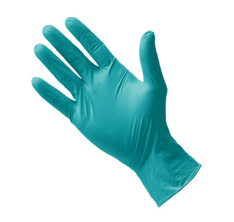 TEAL CHLOROPRENE POWDER-FREE GLOVES